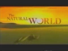 Thumbnail image for The Natural World - 1997 