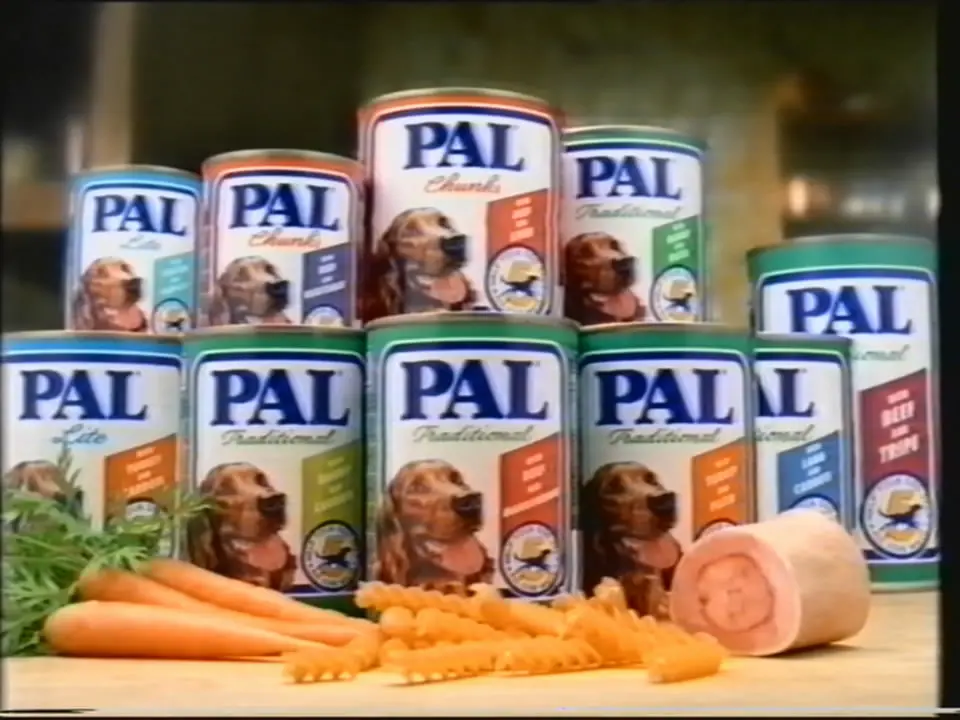 Thumbnail image for Pal  - 1993