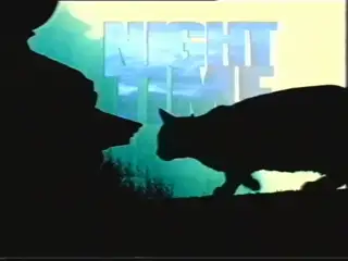 Thumbnail image for Nighttime  - 1991