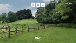 Thumbnail image for BBC One Wales (Farmland - Livestock)  - 2022