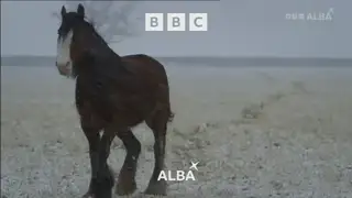 Thumbnail image for BBC Alba (11.30pm NYE)  - 2022