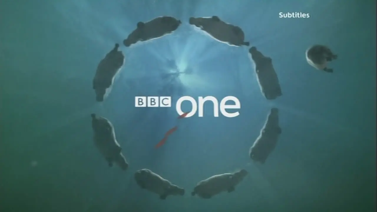 Thumbnail image for BBC One (Hippos)  - 2007