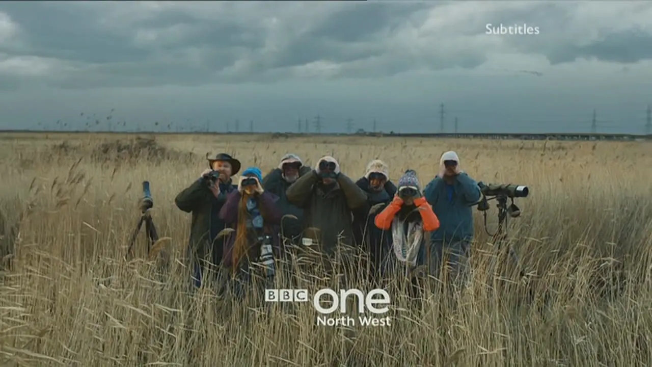 Thumbnail image for BBC One (Birdwatchers)  - 2017
