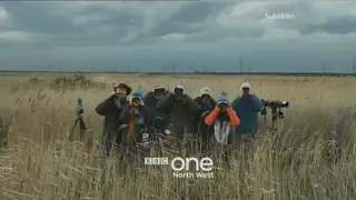 Thumbnail image for BBC One (Birdwatchers)  - 2017