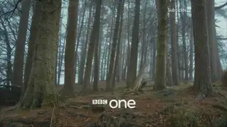 Thumbnail image for BBC One (Forest)  - 2017