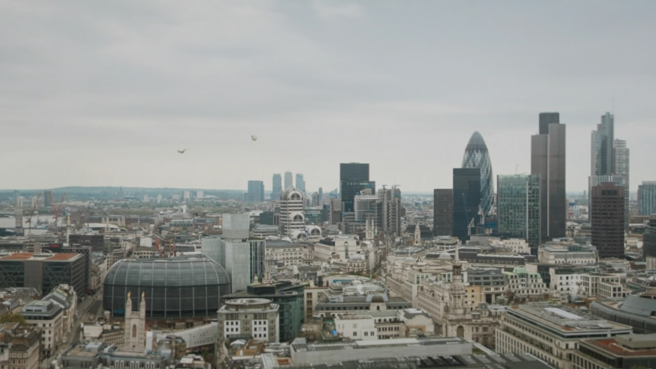 Thumbnail image for Channel 5 (Parrots)  - 2017