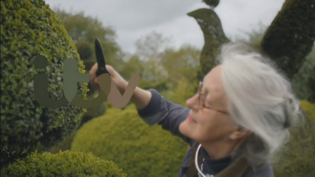 Thumbnail image for ITV (Hedges)  - 2017
