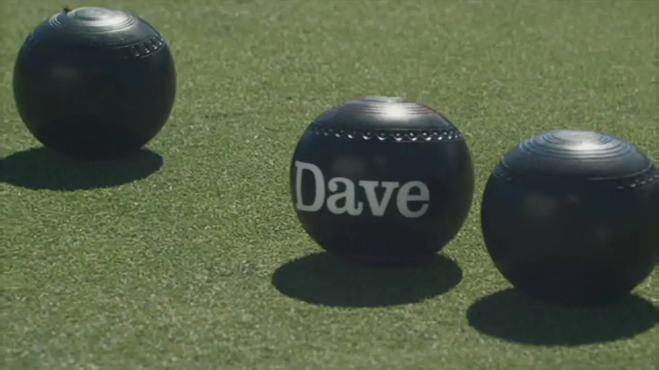 Thumbnail image for Dave (Break - Bowls)  - 2017