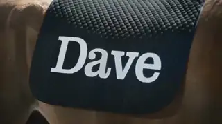 Thumbnail image for Dave (Break - Horse)  - 2017