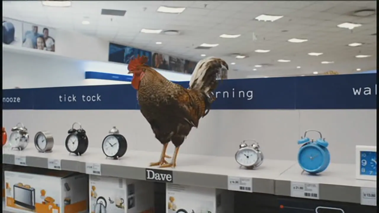 Thumbnail image for Dave (Alarm Cockerel)  - 2017