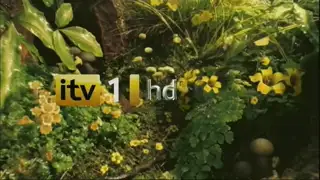 Thumbnail image for ITV1 HD (Flowers)  - 2010