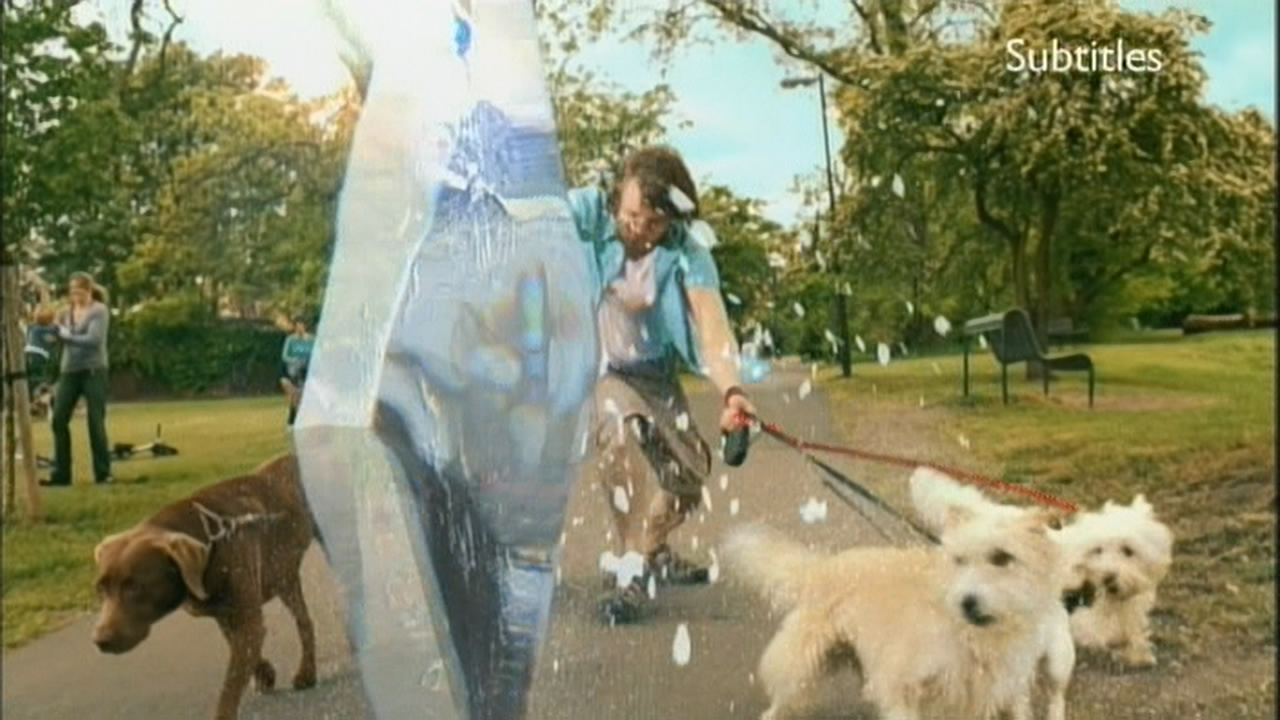 Thumbnail image for BBC HD (Dogs)  - 2010