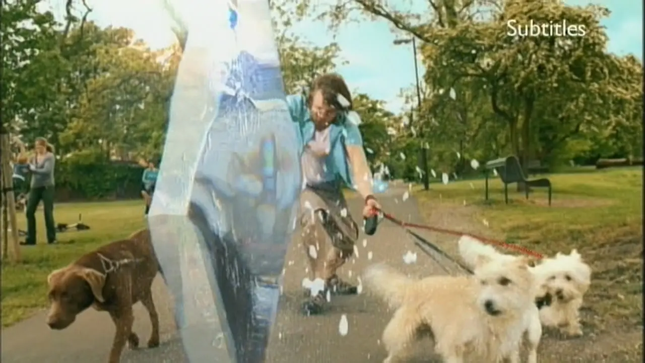 Thumbnail image for BBC HD (Dogs)  - 2010