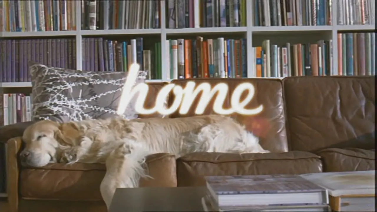 Thumbnail image for Home (Break - Dog)  - 2017
