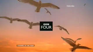 Thumbnail image for BBC Four (Gulls)  - 2007