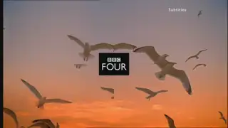 Thumbnail image for BBC Four (Gulls)  - 2009