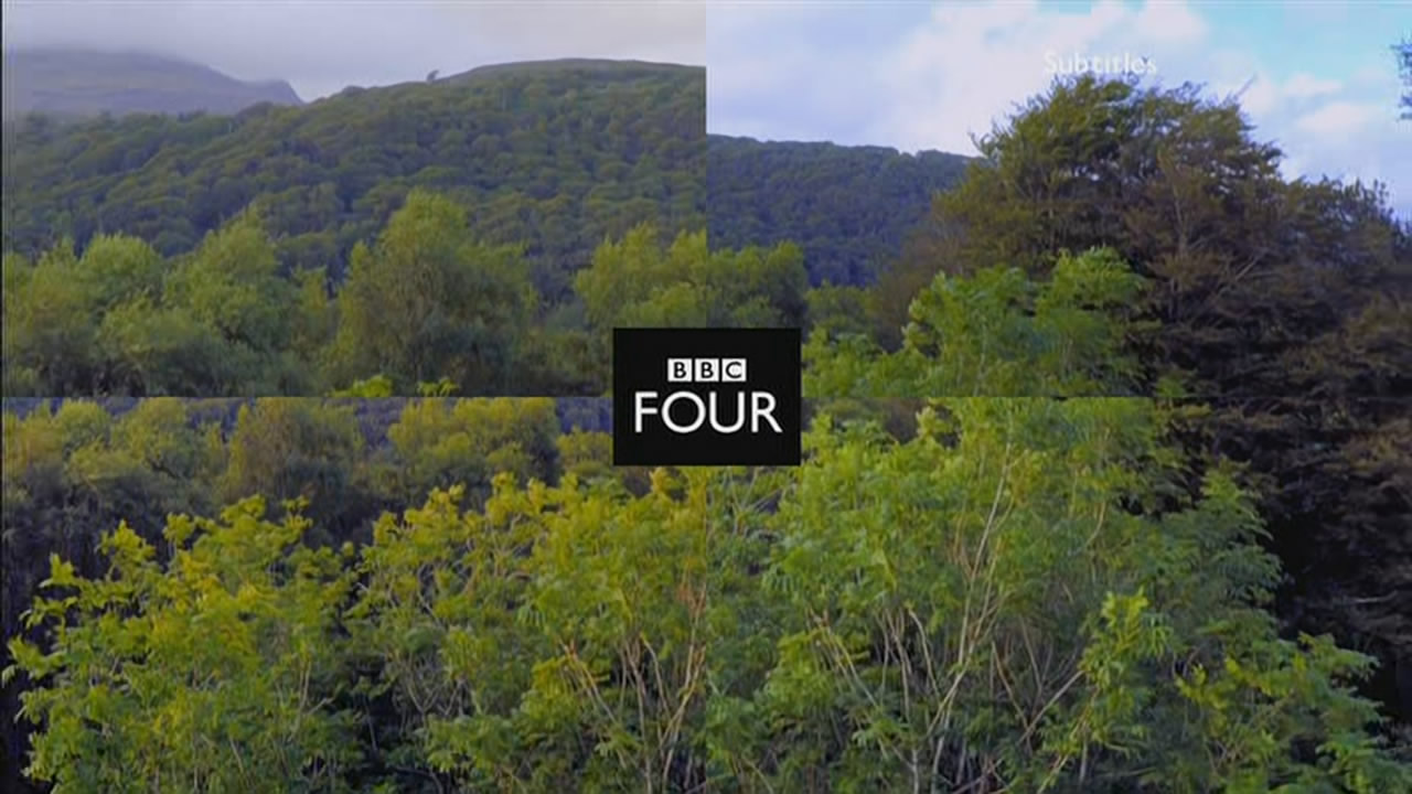 Thumbnail image for BBC Four (Forest)  - 2016