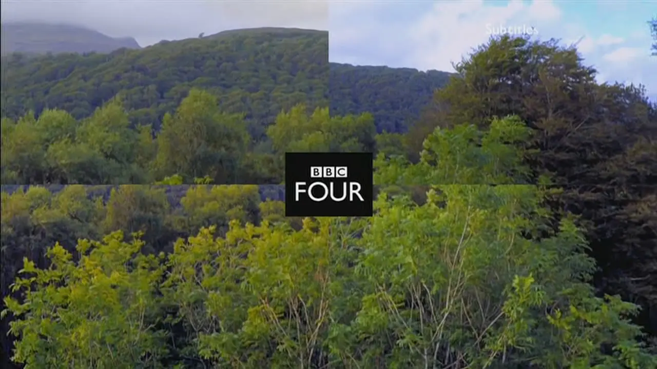 Thumbnail image for BBC Four (Forest)  - 2016