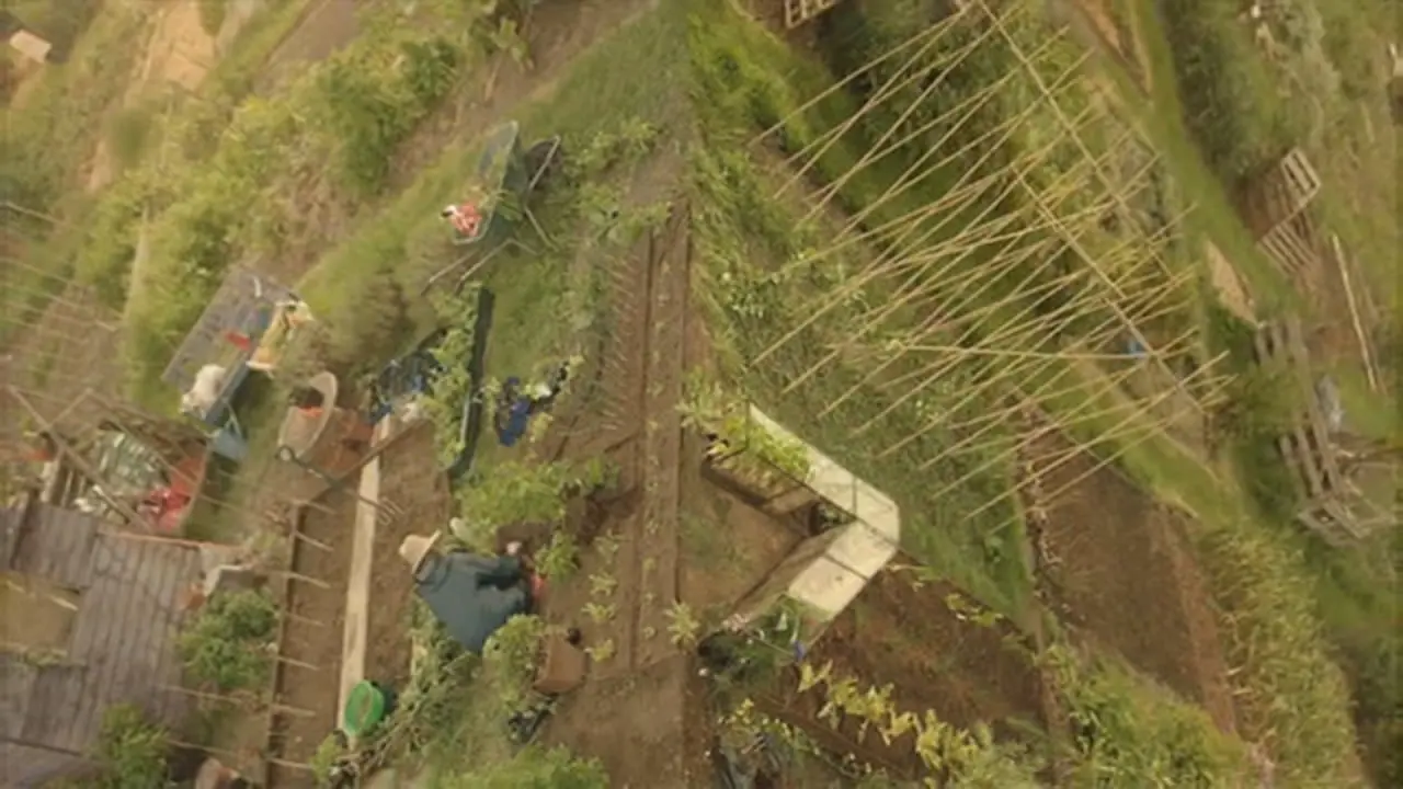 Thumbnail image for 4seven (Allotment)  - 2017