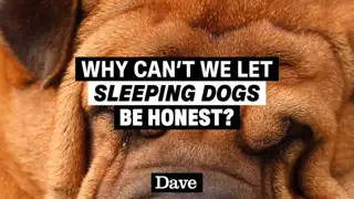 Thumbnail image for Dave (Break - Dog Lie)  - 2024