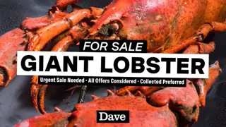 Thumbnail image for Dave (Break - Lobster)  - 2023