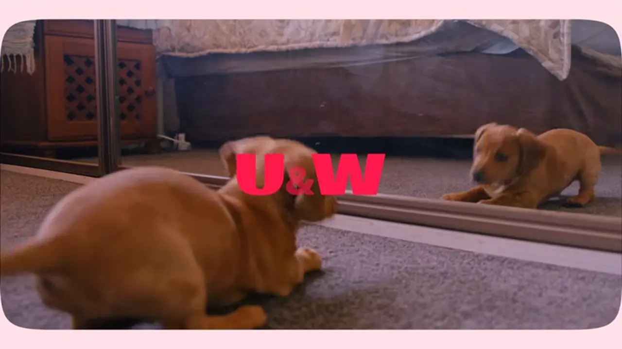 Thumbnail image for U&W (Family - Short)  - 2024