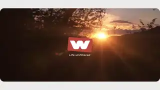 Thumbnail image for W (Sunset)  - 2024