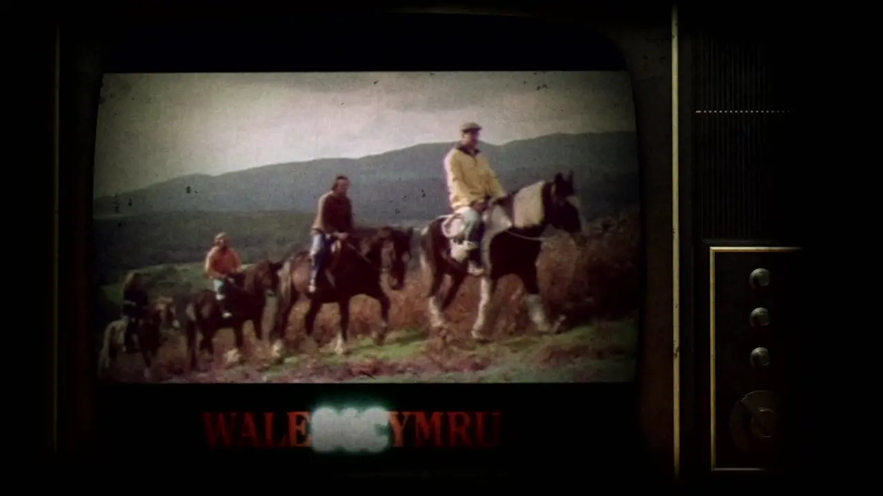 Thumbnail image for S4C (Y Swn)  - 2023