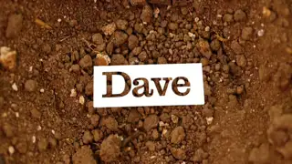 Thumbnail image for Dave (Break - Vibrate/Rocks)  - 2022
