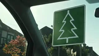 Thumbnail image for Dave (Road - Tree)  - Christmas 2022