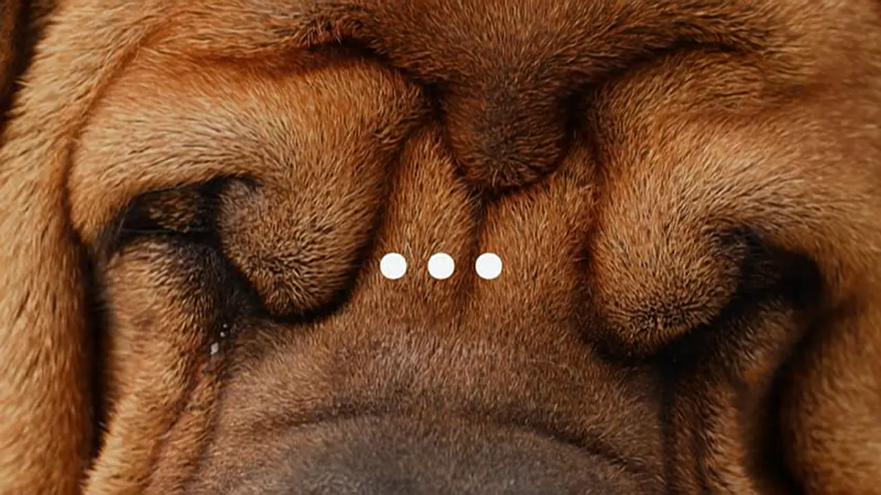 Thumbnail image for U&Dave (Break - Message/Dog)  - 2024